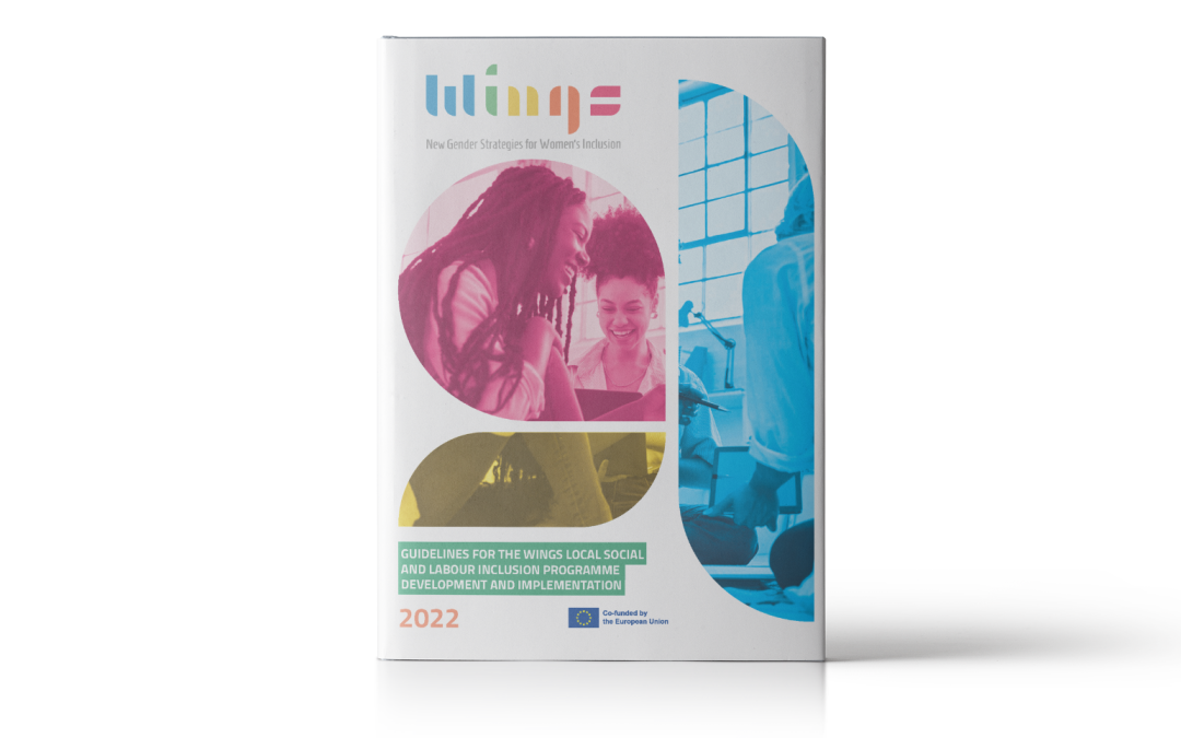 Guidelines for the local programme development
